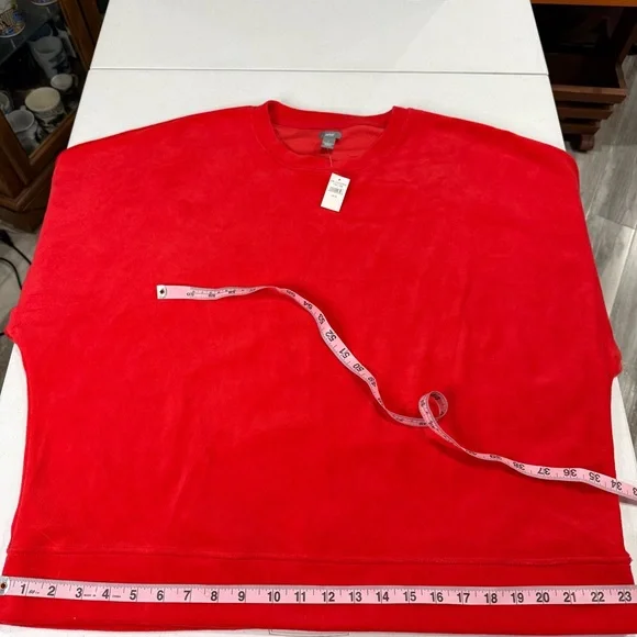 NWT Aerie Velvet Sweatshirt Scoop Neck Raglan Sleeves Coral Women’s Size XL - Picture 6 of 11